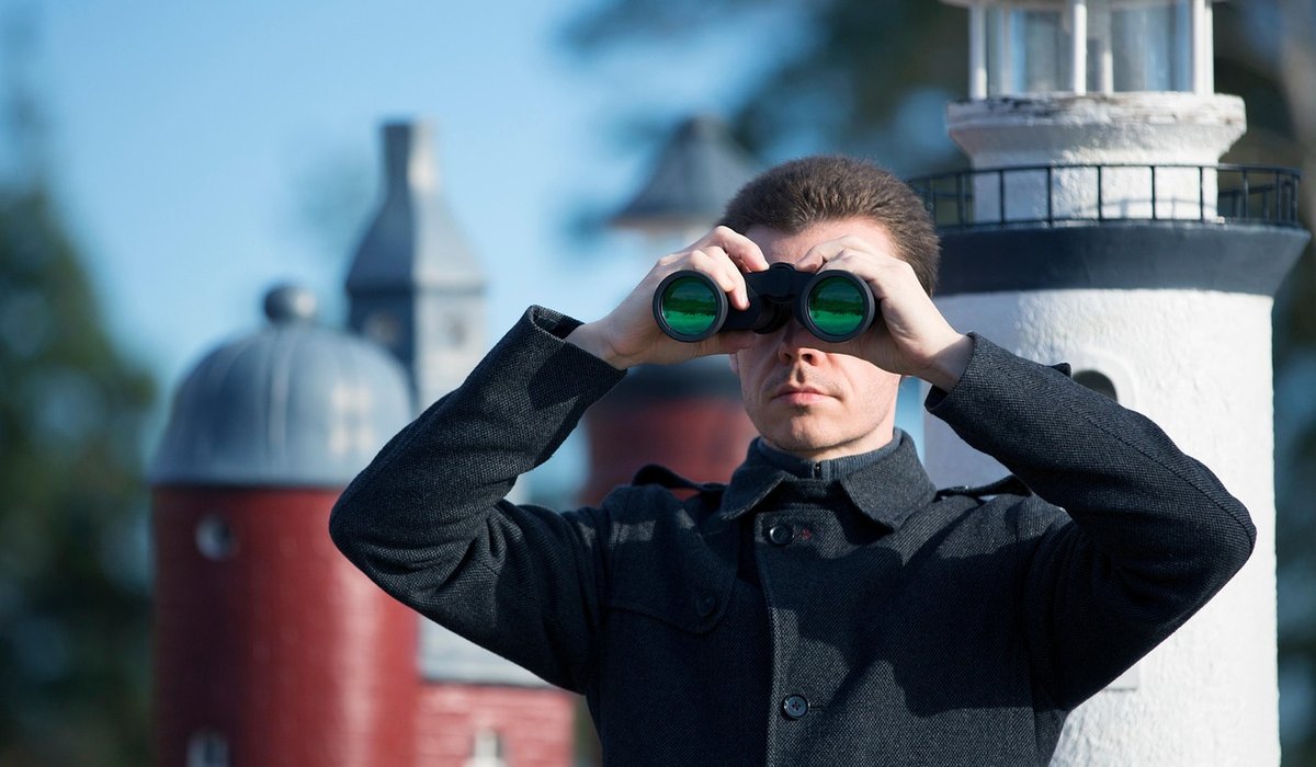 Using a field guide to improve bird identification