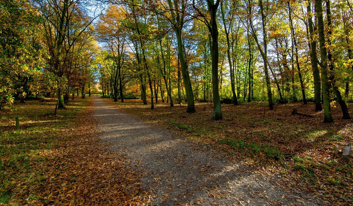 Walking quietly to avoid disturbing ground-nesting birds
